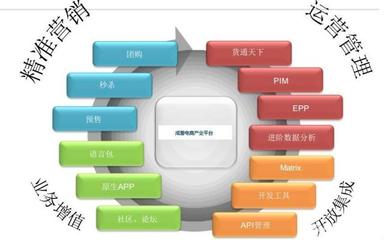 電商運營高手為何不自創品牌？解析平臺開發與運營的深層邏輯