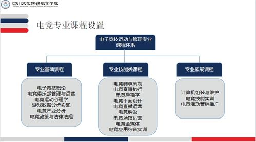 電子競(jìng)技運(yùn)動(dòng)與管理專業(yè)介紹 電子商務(wù)平臺(tái)開發(fā)及運(yùn)營方向