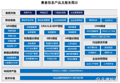 新股簡(jiǎn)析 賽意信息（300687）——電子商務(wù)平臺(tái)開發(fā)及運(yùn)營的潛力股
